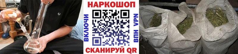 Бошки Шишки Курганинск