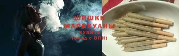 гашик Алзамай